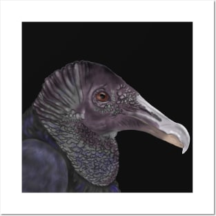 Black Vulture Illustration Posters and Art